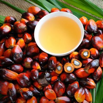 Organic Refined Palm Oil / Fractionated Palm Kernel Oil-High Purity 99% Grade Food Grade Cooking Oil Belgium Factory Supply from AGRONOVA Organic Refined Palm Oil / Fractionated Palm Kernel Oil-High Purity 99% Grade Food Grade Cooking Oil Belgium Factory Supply - AGRONOVA - United States