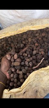 Shea nut Packaging Carton Weight (kg) 20kg Texture Moisturizing Vitamin Content High Source Shea Tree Seeds Fatty Acid Content High - Mese investment ltd - Nigeria