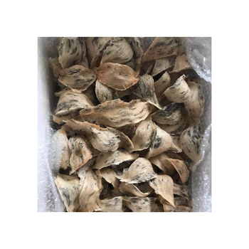 Good Quality Raw Bird'S Nest 100% Fresh Bird Nest For All Age Tasteless Packed In Box Vietnam Manufacturer - RHINO TRAN CO., LTD - Vietnam