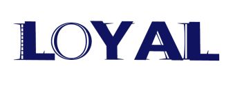Product - HUIZHOU LOYAL HYDRAULIC CO., LTD. - China