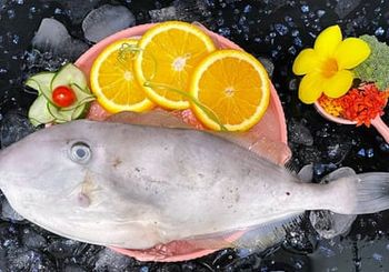 Frozen Leatherjacket Fish / Filefish - Hup Sun Marine Products - Malaysia