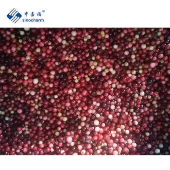 Sinocharm 2021 High Quality Whole Fruit Frozen Lingonberry Style Whole Origin China Processing IQF HS Code 0811909090 Processing Type - Xiamen Sinocharm Co., Ltd. - China