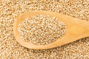 Egyptian Sesame for Export - Elite Pro - Egypt