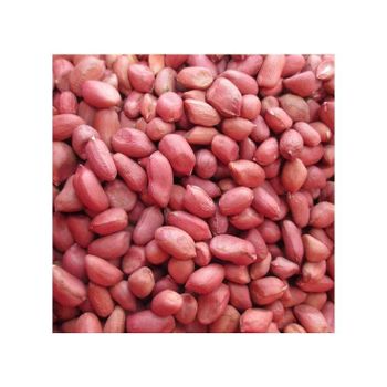 Wholesale Peanuts bulk supply cheap price fast delivery quality from HIGHPROFILE AGRICULTURE SERVICES LIMITED Wholesale Peanuts bulk supply cheap price fast delivery quality - HIGHPROFILE AGRICULTURE SERVICES LIMITED - Tanzania
