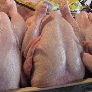 WHOLE FROZEN CHICKEN - BARIOS IMPRESSA LLC - Cameroon