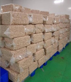 Cashew Nuts Product Type Nuts Production Stability Stable Price Per Metric Ton Usd 4100 Logistics Reliability Dependable - AGRICOLA - Tanzania