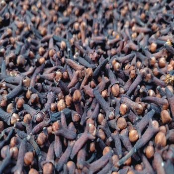 Premium Dried Clove Whole Spice Natural Raw Elongated Shape Single Herb and Spice Ingredient for Baking from CPW TRADE LTD Premium Dried Clove Whole Spice Natural Raw Elongated Shape Single Herb and Spice Ingredient for Baking - CPW TRADE LTD - United Kingdom