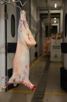 Lamb slaughtered according to Islamic rites (Halal) - Kibet Trading International - Kenya
