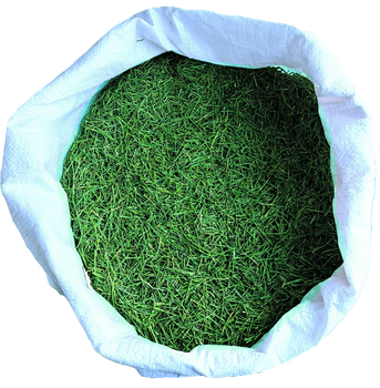 Ephedra Herbs Origin Asia Type Ephedra Herbs - ANA International for Herbs & Spices - Pakistan
