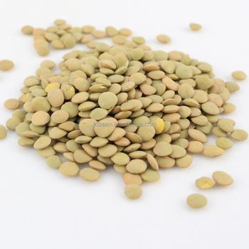 China Origin Factory Customize Raw Wholesale 7 mm Cheap Yellow Lentil Price Green Lentils Green Lentils from Hebei Nihewan Agricultural Development Co., Ltd. China Origin Factory Customize Raw Wholesale 7 mm Cheap Yellow Lentil Price Green Lentils Green Lentils - Hebei Nihewan Agricultural Development Co., Ltd. - China