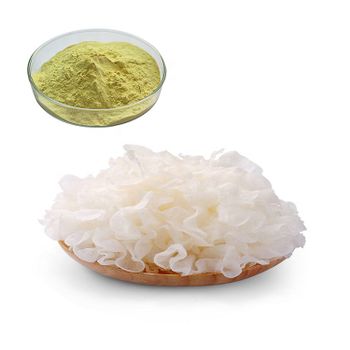 white jelly fungus dried tremella mushroom polysaccharides powder - Hangzhou Molai Biotech Co., Ltd. - China