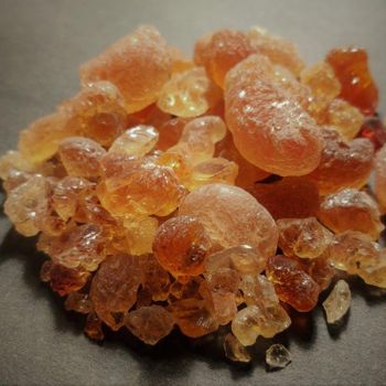 Arabic Gum talha (Acacia seyal) - Ezzaldeen - Sudan