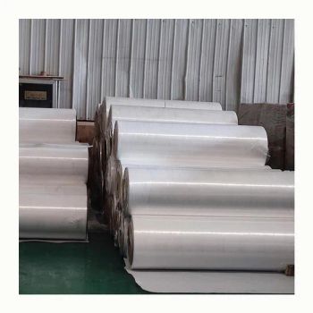 Wholesale PP Nonwoven Fabric Roll Waterproof Nonwoven Polypropylene Fabric Breathable Spunbond Nonwoven Fabric - Qingdao Trusty Industry & Trade Co., Ltd. - China