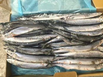 Best Quality Fish for Thailand Frozen Pacific Saury Style Whole HS Code 0303 Origin China Original China Processing BQF Trademark - HAIZHISHI FOOD TRADING CO., LTD. SHISHI CITY - China