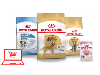 Bulk Pet Food Wholesale Factory High Protein Nutrition Natural Premium Dry Dog Food - PEACE PRODUCTS LIMITED - United Kingdom