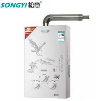 Quiet Operation Hermetic Gas Water Heater Hot Water Usage with Large Storage Home Use - Zhongshan Songyi Electrical Appliance Co., Ltd. - China