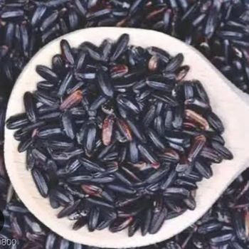 Black Rice from Rosanna Company Limited Black Rice - Rosanna Company Limited - Myanmar