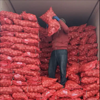 Wholesale Red and Yellow Onions Available In Stock - MASURIAN Sp. z.o.o. - Spain
