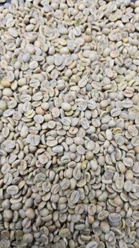 Arabica Coffee Beans - Mozzarella Company Limited - Tanzania