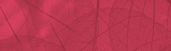 Toxin Binders - A.W.P SRL - Global