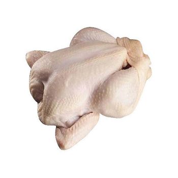 Premium frozen whole chicken available for bulk supply with tender meat - MASI TRADING GMBH - Germany