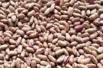 New Crop Best Quality Dry Light Speckled Kidney Beans Wholesale Premium Quality Buy Now Fast Delivery - TRADECENTRIC LLC - United States