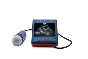 Ultrasound Machine for Veterinary Pregnancy Tests in Swine and Goats - Xuzhou Kaixin Electronic Instrument Co., Ltd. - China