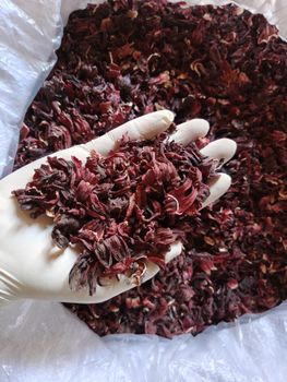 Hibiscus flower - Elite Pro - Egypt