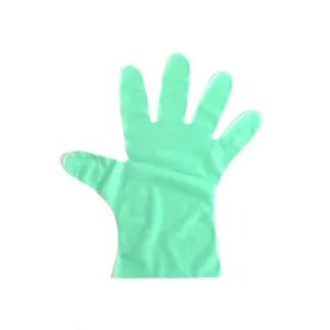 Hand Protective Safe TPE Glove for Household Cleaning - WEIFANG DEFU NEW MATERIAL COMPANY LIMITED - China
