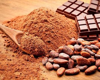Organic Raw Cacao / Cocoa Powder 25kg, Raw Chocolate, High Quality - Smart Agri GmbH - Germany