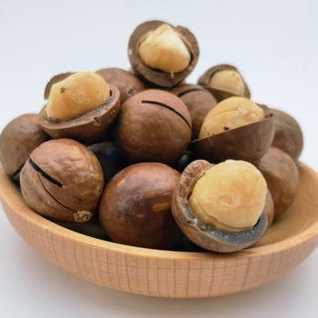 Premium Quality Macadamia Nuts From Vietnam, from SAEBYGARD AVLSGARD A/S Premium Quality Macadamia Nuts From Vietnam, - SAEBYGARD AVLSGARD A/S - Denmark