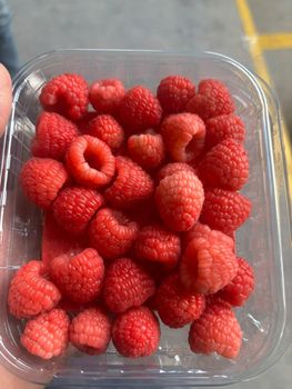 Rasby – product photo, Raspberry products found from trusted suppliers, wholesalers, manufacturers & exporters Listing