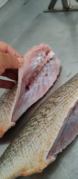Pan Ready - Yellow Croaker - Pristine Patagonia SPA - Chile