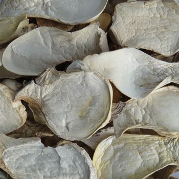 Bulk sale dried pleurotus eryngii dehydrated king oyster mushroom - Shanghai Dashanhe Edible Technology Co., Ltd. - China