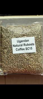 Robusta Coffee - green bean(unroasted) - ALLAN - Global
