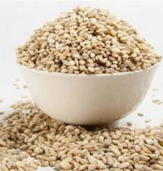 Barley Grains Premium Barley Seeds/animal Feed Barley/bulk Barley Grains Malted Barley Malt Grain for Sale - Buy Thailand - Almaa SCS - Belgium
