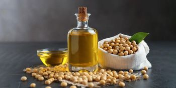 Premium Refined and Crude Soybean Oil Net Weight 1 L, 5 L, Flexitanks Delivery Form Bottle, Flexitanks Origin European Continent, European Union, Worldwide - AETERNUM ARCANA GROUP Sp. z o.o. - Poland