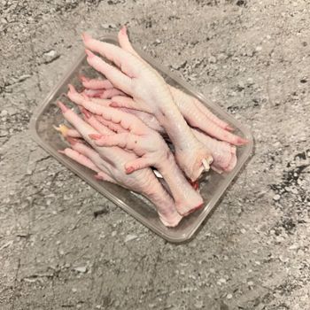Bulk Frozen Chicken Feet Available Now Perfect for High-Volume Purchase Fresh and Premium Poultry Parts for Your Needs - Carla Pisselli Commercio - Brazil