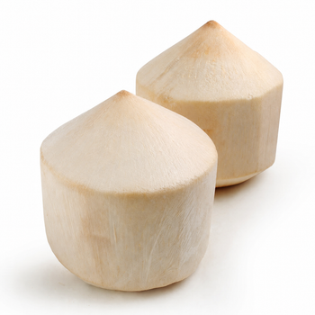 Fresh Coconut from MEKONG DELTA AGRICULTURAL EXPORT IMPORT COMPANY LIMITED Fresh Coconut - MEKONG DELTA AGRICULTURAL EXPORT IMPORT COMPANY LIMITED - Vietnam