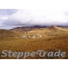 Product - STEPPETRADE - Netherlands