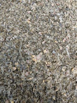 Corn Silage - GreenGoldSilage - Pakistan