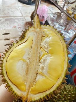 Durian Frozen Meat Frozen Grade A & B - INA AGRICULTURE - Indonesia
