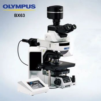 Olympus Bx63 Auto Inverted Trinocular Fluorescence Microscopes - Aiyichen (Guangzhou) Technology Co., Ltd. - China