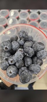 Blueberry - ART LOG MAROC - France