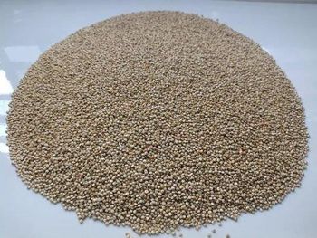 Quinoa Seeds Color White Processing Method Double Sortex - Sinhal International - India