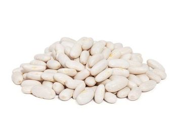 WHITE BEANS Color White Purity High Quality - Ezz company - Egypt