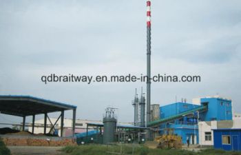 Coal, Gas, Solid Waste Mixed Boiler/Power Plant/High Efficiency Boiler/EPC - Qingdao Braitway Energy Engineering Co., Ltd. - China