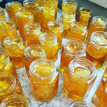 Liquid Honey from BF GLOBAL TRADING (PTY) LTD Liquid Honey - BF GLOBAL TRADING (PTY) LTD - South Africa