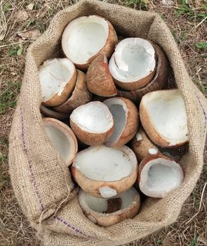 Regular Copra Features Halal, No Preservatives, Vegan, Without Additives, Without Colourants - Linggau Jaya Eksportir - Indonesia