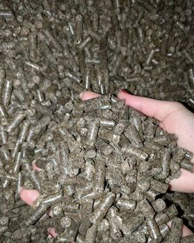 Sunflower meal  Place of Origin Russia Quality crude protein 33.0 - - Atlant LLC  - Russian Federation